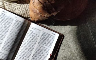 Who Is the Choice Seer of 2 Nephi 3?